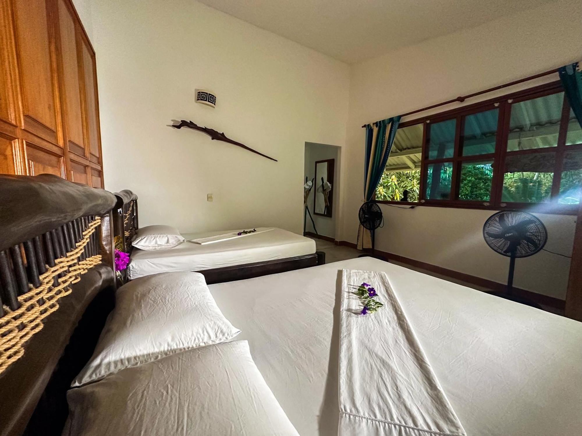 La Jorara Ecohotel Y Reserva Natural بالومينو الغرفة الصورة